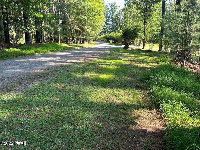 STUNNING DOUBLE LOT OVERLOOKING LACKAWAXEN RIVER- FANTASTIC - photo 10