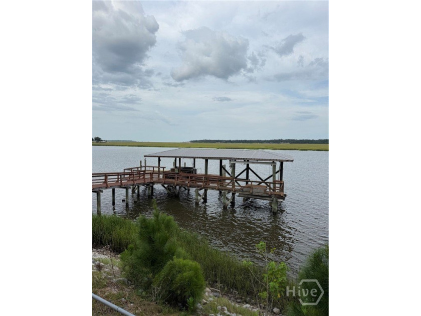 SAPELO RIVER .87 ACRE DEEP WATER LOT WITH DOCK AND TWO SHEDS - photo 7