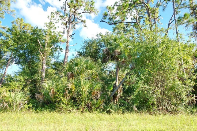Buy and build or invest and wait. Location is close to Highway - photo 12