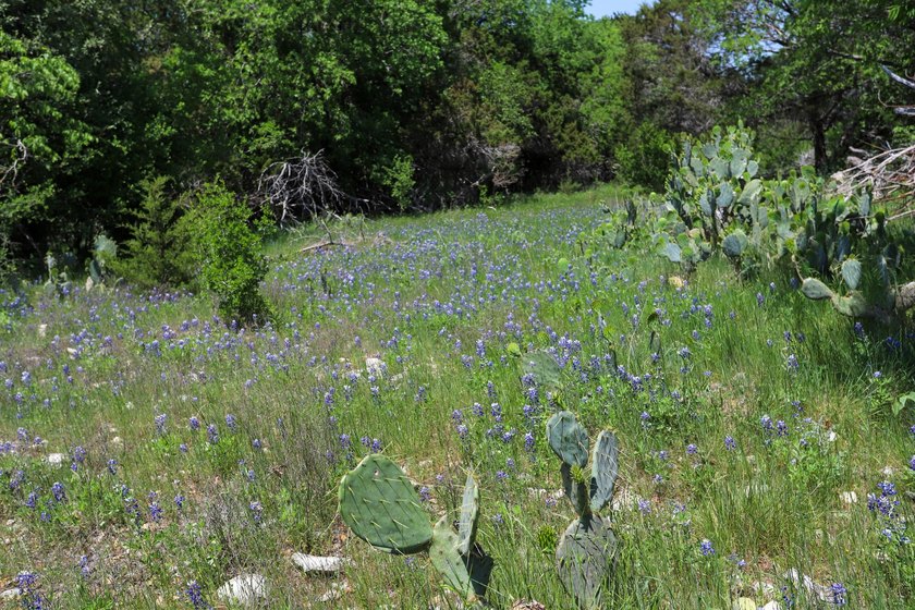 533 Acres Coryell County, Central Texas Located in the heart of - photo 7