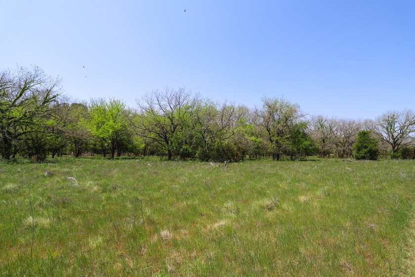 533 Acres Coryell County, Central Texas Located in the heart of - photo 10