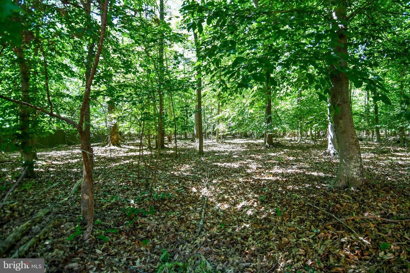 Peaceful Country Home ..SUPER SIZED!! Brick front Split Foyer - photo 45