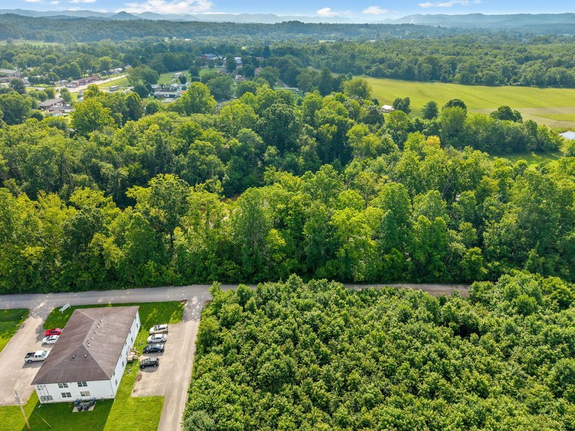PRIME RIVERFRONT LOTS IN CLAY CITY! Don't miss this incredible - photo 26