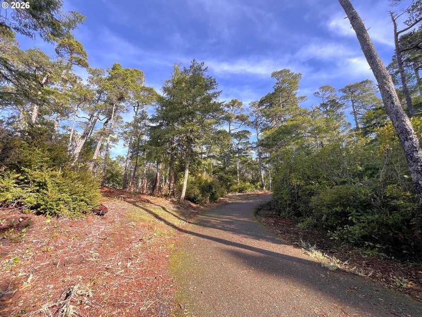 Welcome to THE LAKES, a brand-new gated community offering 15 - photo 24