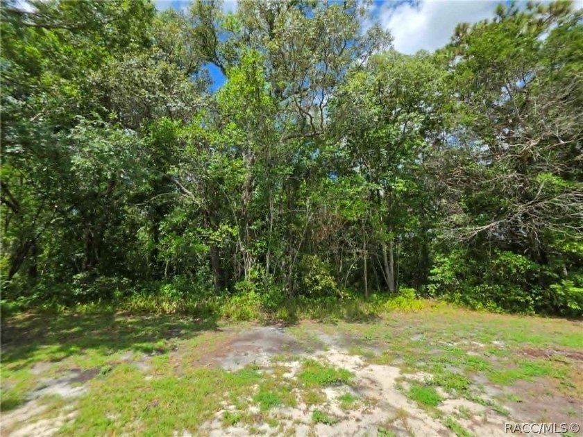 Welcome to Sugarmill Woods of the Nature Coast! Enjoy affordale - photo 14
