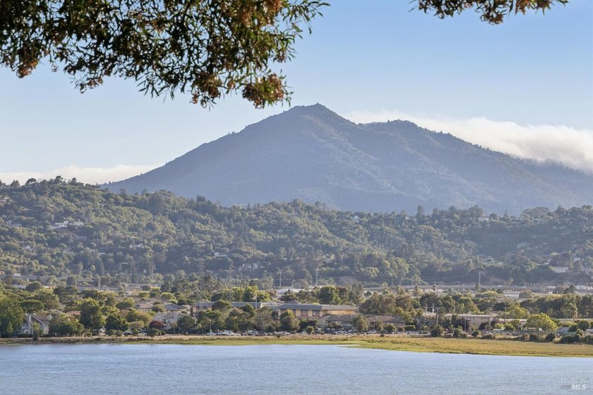 A single-level home, with 180 degree views, in a gated community - photo 27