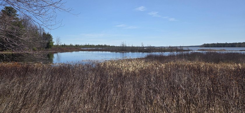 Embrace the quintessential Maine lifestyle with this stunning 3 - photo 4