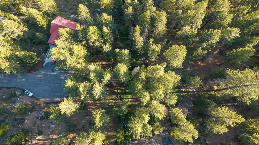 We are proud to offer 15444 Cedar Point Dr, a fantastic - photo 6