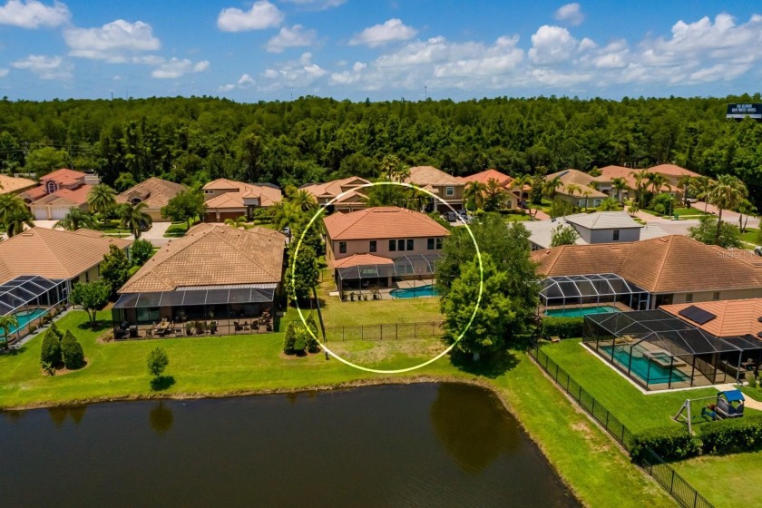 GORGEOUS in GRAND CYPRESS on LAKE TARPON ~ Location, Location - photo 54