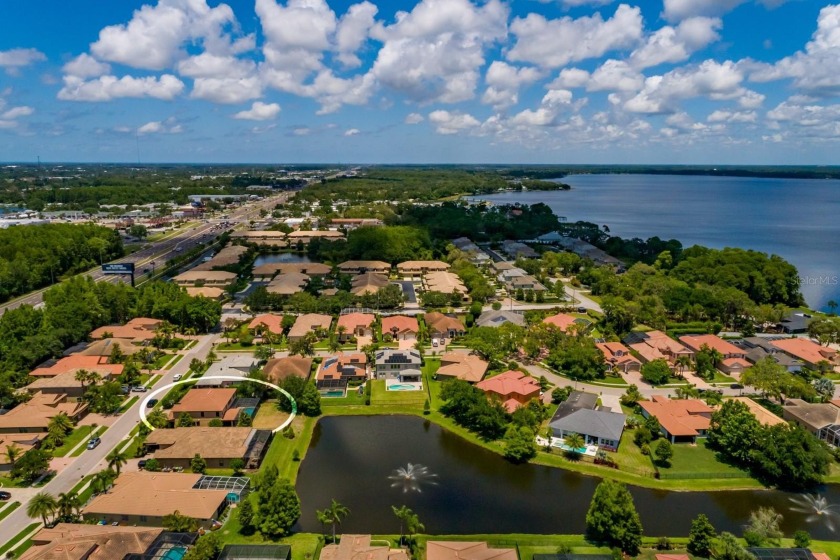 GORGEOUS in GRAND CYPRESS on LAKE TARPON ~ Location, Location - photo 56