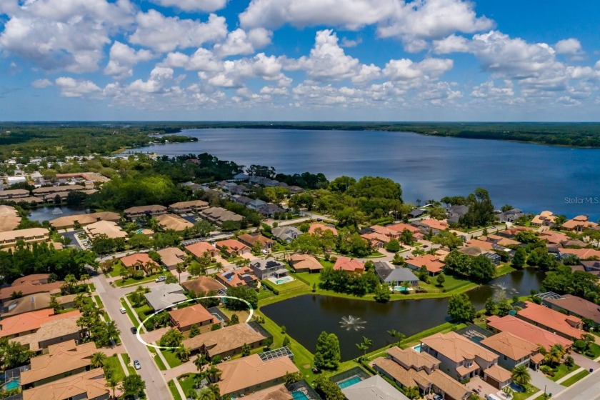 GORGEOUS in GRAND CYPRESS on LAKE TARPON ~ Location, Location - photo 57