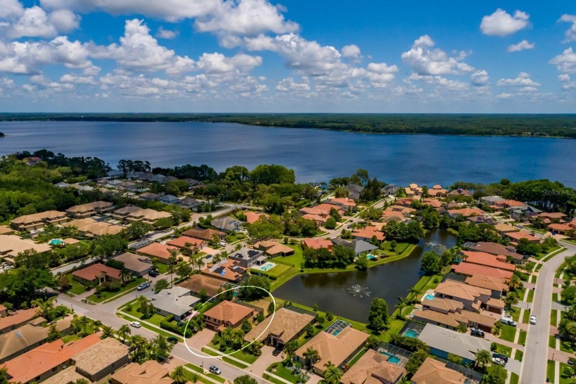 GORGEOUS in GRAND CYPRESS on LAKE TARPON ~ Location, Location - photo 58
