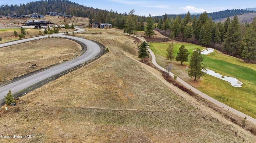 Over half an acre of premiere property sitting on the CDA - photo 4
