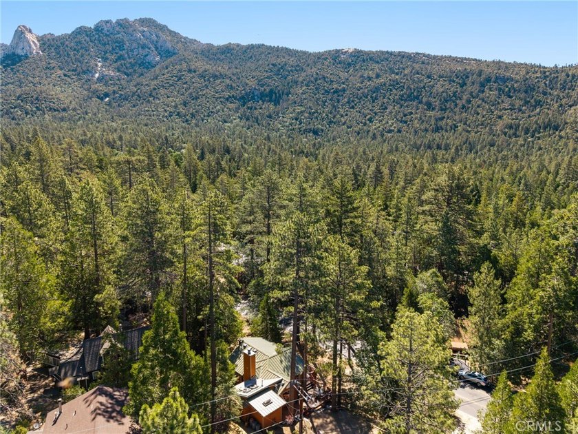 Experience the authentic soul of Idyllwild in this beautifully - photo 7
