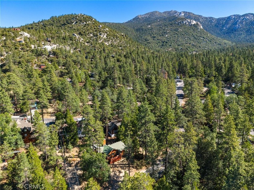 Experience the authentic soul of Idyllwild in this beautifully - photo 8