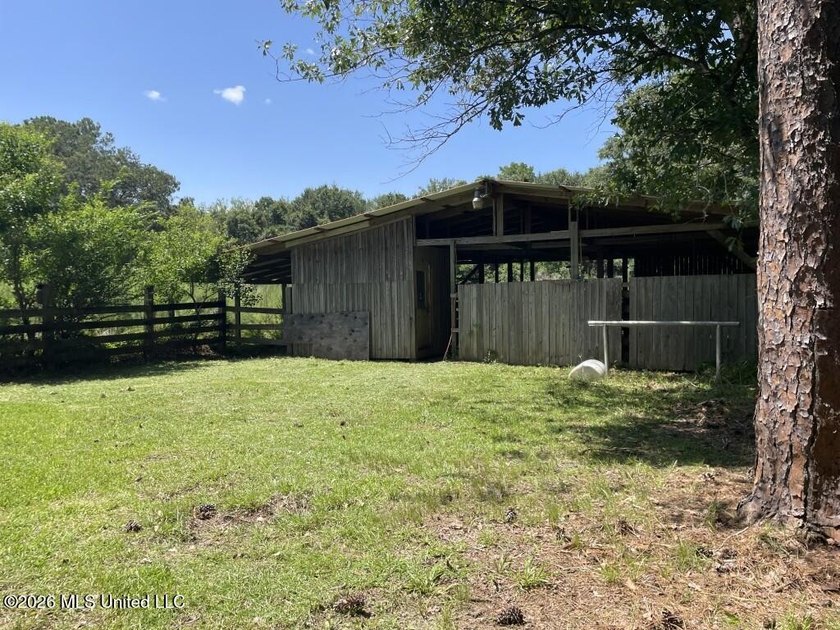 Escape to your own private oasis on this sprawling +/-9.92-acre - photo 11