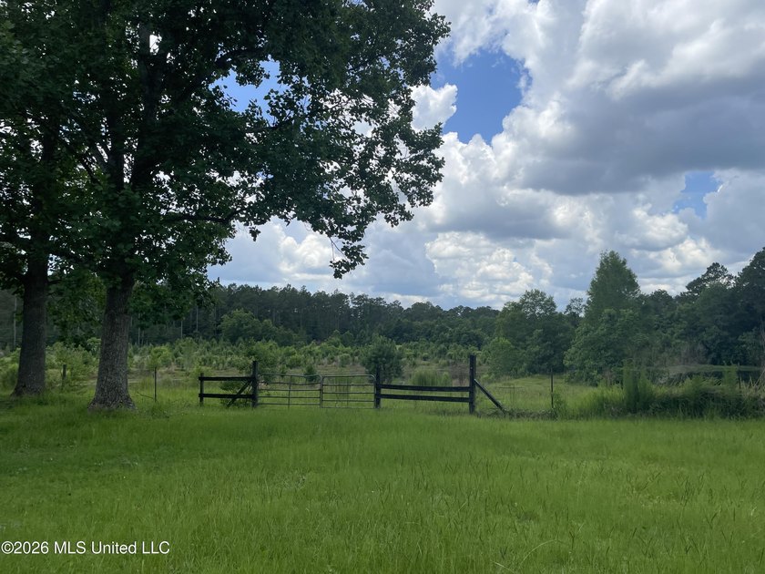 Escape to your own private oasis on this sprawling +/-9.92-acre - photo 12