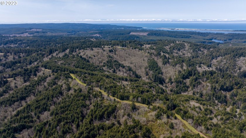 EXCITEMENT IS SURE TO FOLLOW THIS LISTING AS IT IS YOUR GRAND - photo 5