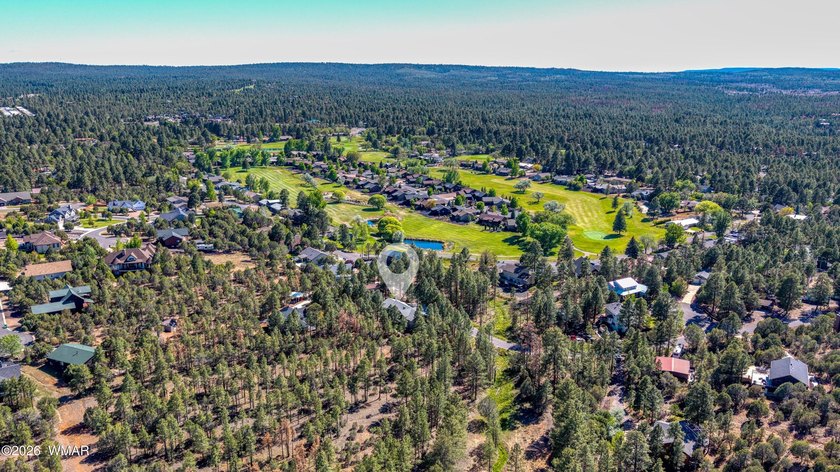 Nestled among the tall pines and bordering National Forest! This - photo 2