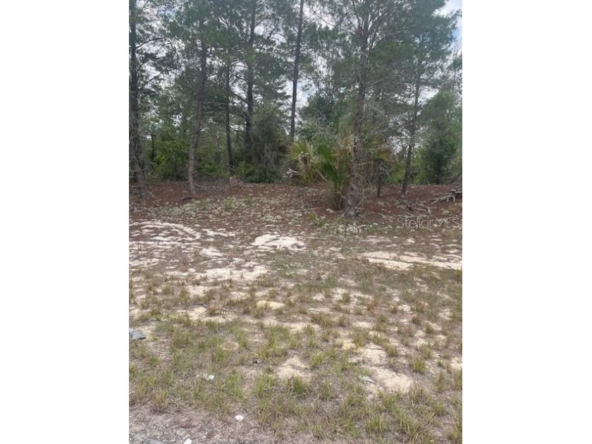 BUILD YOUR DREAM HOME! Lot 64x113x91x109 with side easement - photo 2