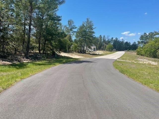 BUILD YOUR DREAM HOME! Lot 64x113x91x109 with side easement - photo 3