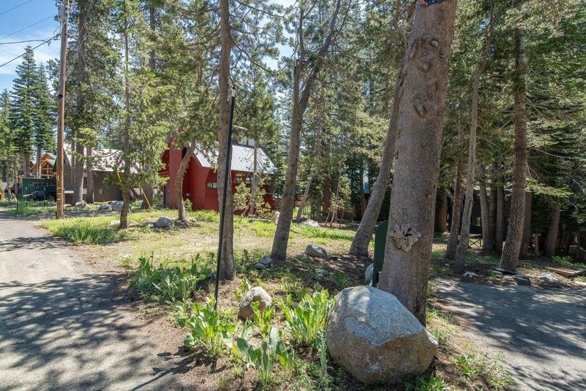 A lovely wooded lot ready for your Serene Lakes dream home! Home - photo 3