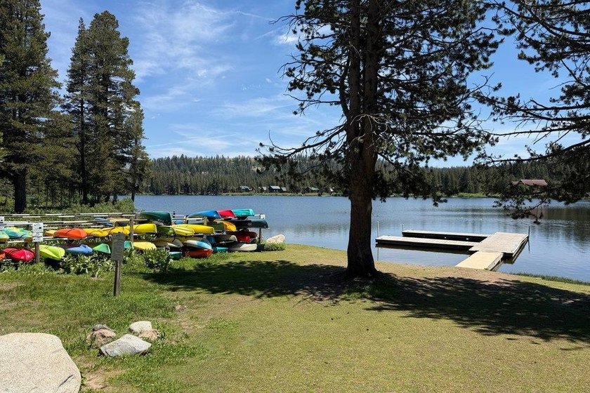 A lovely wooded lot ready for your Serene Lakes dream home! Home - photo 7
