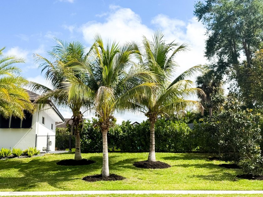 Welcome to 1702 Ludlow Road, a custom home situated on an - photo 7