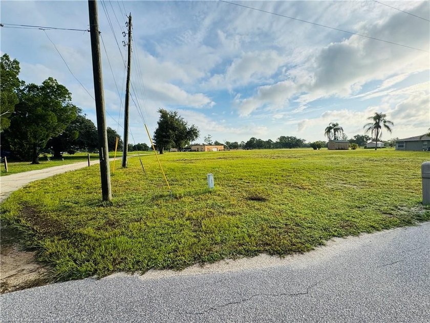 75+/- Acre Recreation Paradise - Rare Opportunity Near Lake June - photo 13