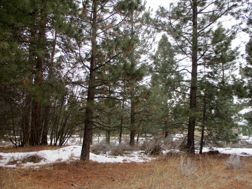 Residential Lot in Gorgeous Latakomie Shores Subdivision, Septic - photo 5