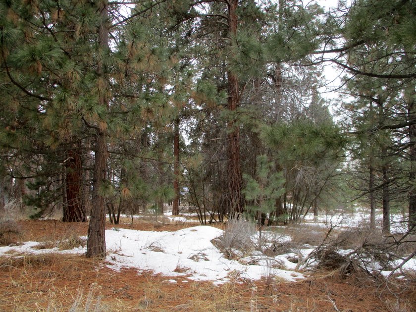 Residential Lot in Gorgeous Latakomie Shores Subdivision, Septic - photo 6