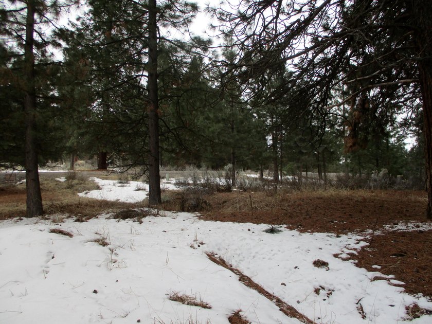 Residential Lot in Gorgeous Latakomie Shores Subdivision, Septic - photo 8