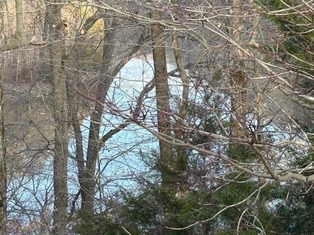 Lot 15 in the desirable Ridges of Dale Hollow offers 1.47 acres - photo 2