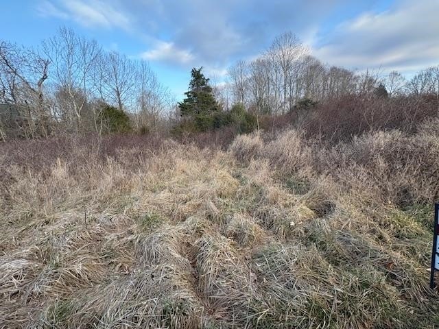 Lot 15 in the desirable Ridges of Dale Hollow offers 1.47 acres - photo 4