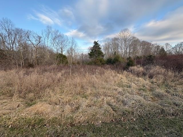 Lot 15 in the desirable Ridges of Dale Hollow offers 1.47 acres - photo 5