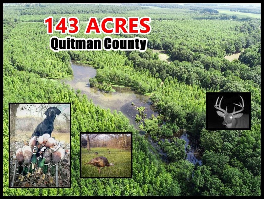 It's almost unheard of to find solid duck, deer, AND turkey - photo 2