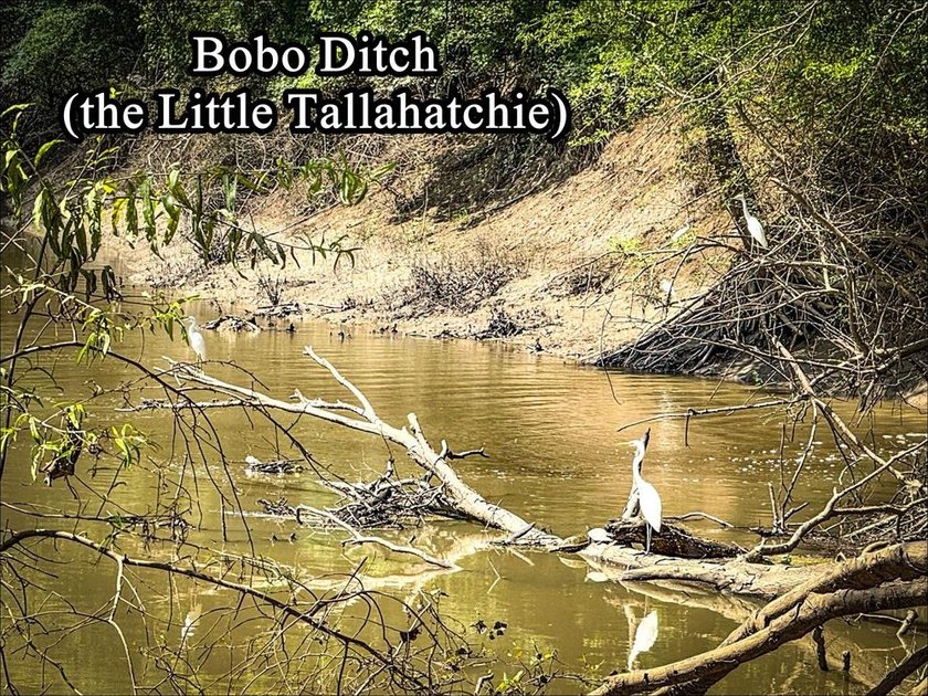 It's almost unheard of to find solid duck, deer, AND turkey - photo 9