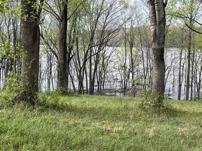 Rare opportunity on Barren River Lake! This 1/2+ acre lakefront - photo 5