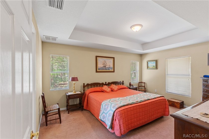 Congratulations, you have found one of the more stellar homes in - photo 16