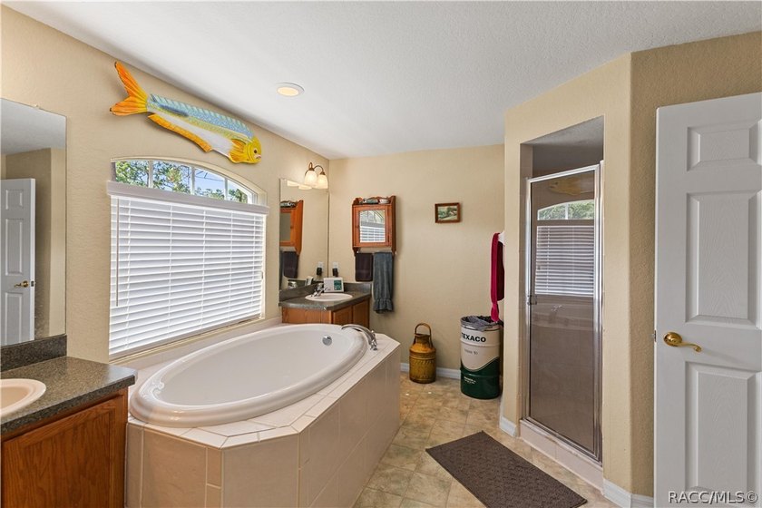 Congratulations, you have found one of the more stellar homes in - photo 21