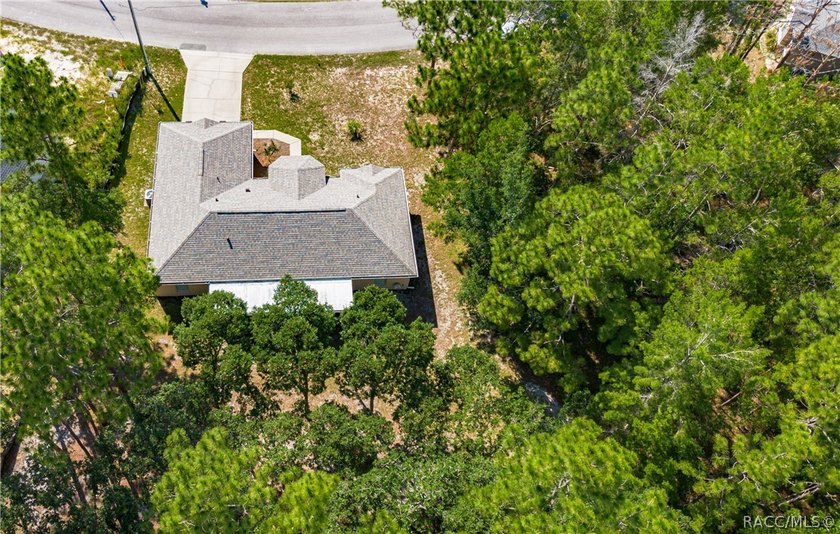 Congratulations, you have found one of the more stellar homes in - photo 35