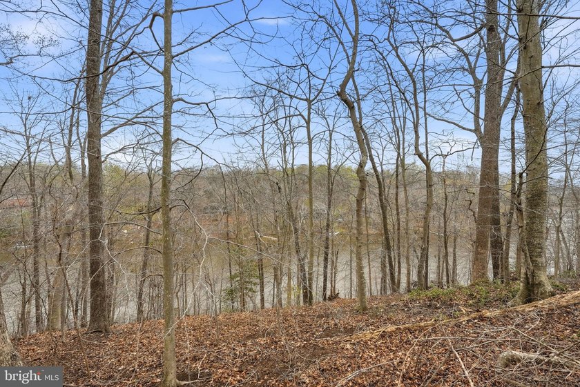 Welcome to Ballantrae Estates. Nestled on 5 scenic acres, this - photo 31