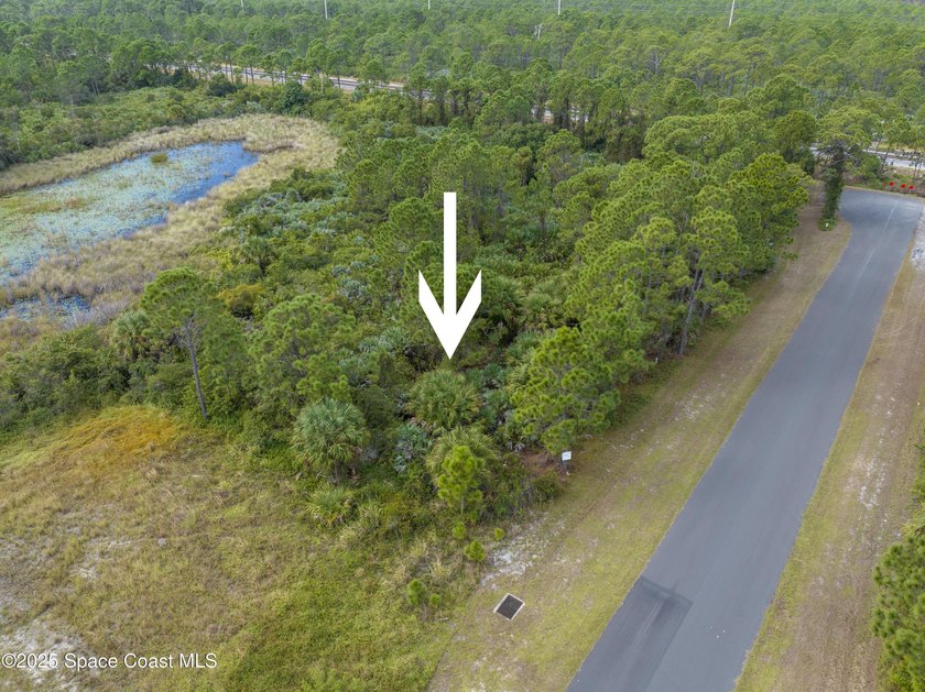 Looking for a nice, vacant, buildable lot? You just found it! - photo 8