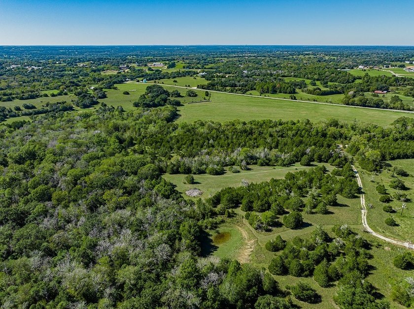 40 Acres - 1.3 Miles from Downtown Round Top - This prime - photo 11