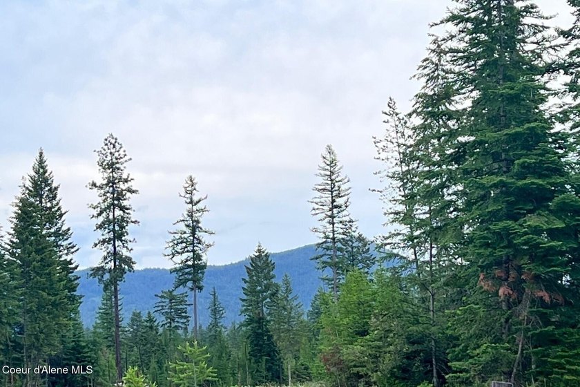 TO BE BUILT: Set on five private, lightly wooded acres in The - photo 9
