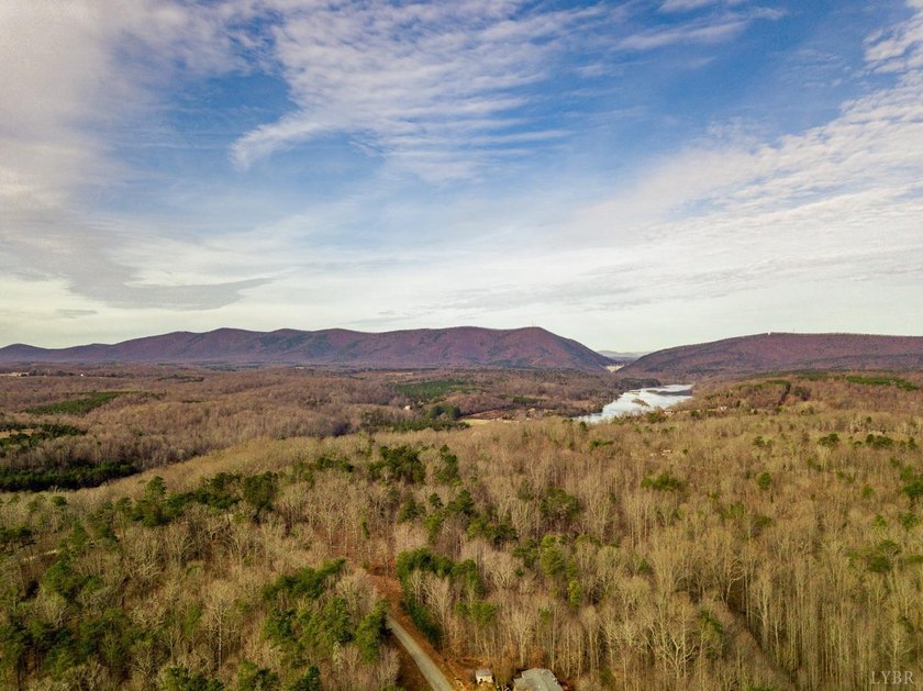Rare opportunity! 4.90 acres of pristine wooded bliss with lake - photo 5