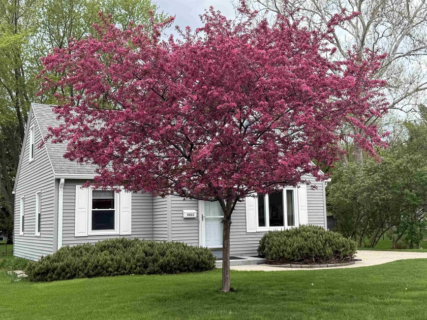 MOTIVATED SELLERS LISTED UNDER APPRAISAL VALUE !!!!!. Welcome - photo 37