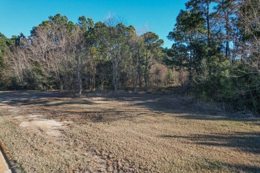 Build your dream home on this exceptional 1.1-acre vacant lot in - photo 8