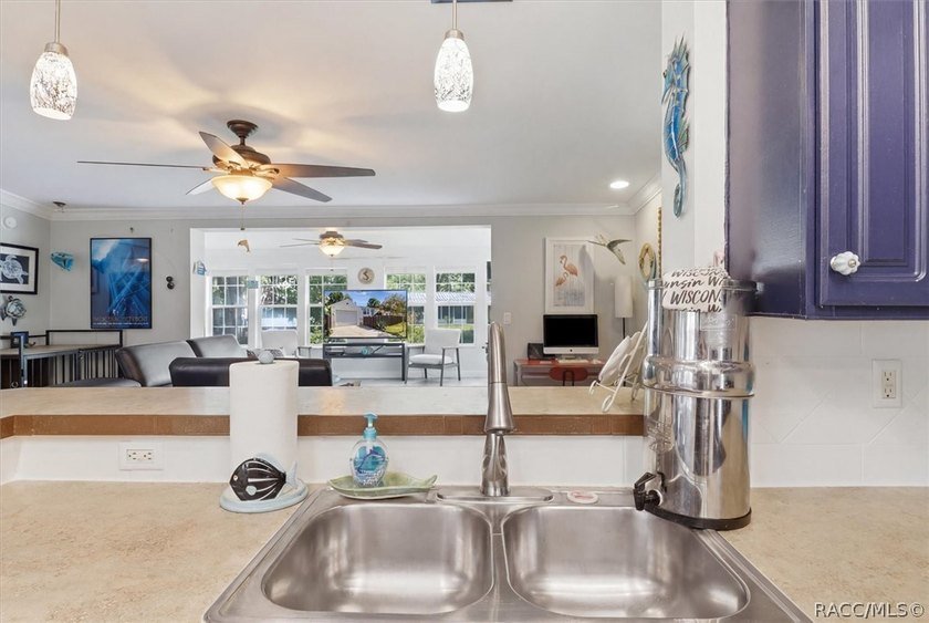Welcome to 8421 W. Scott Court in beautiful Chassahowitzka, a - photo 11