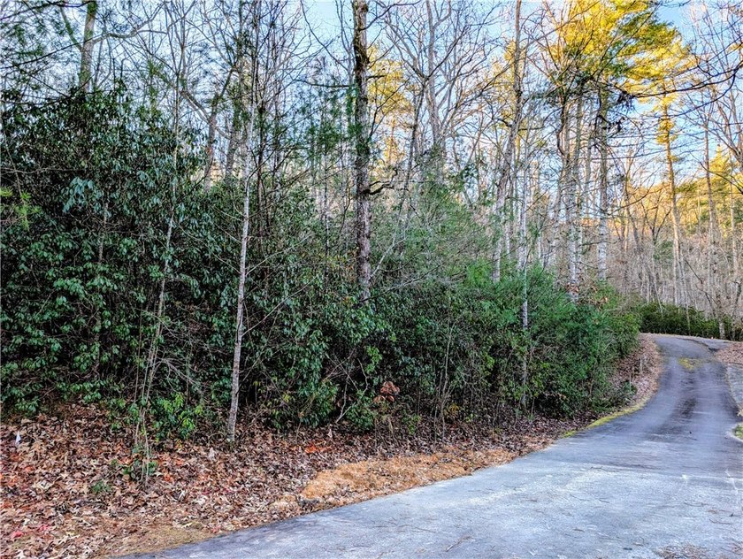 Lake Keowee Interior Home Site located in the Gated Subdivision - photo 11